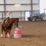 peewee barrel racer and horse